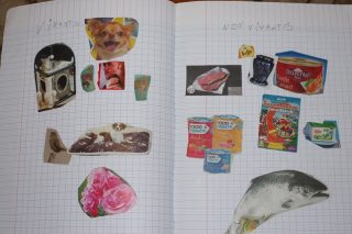 フランスの小学校って何を習うの? もう食物連鎖を学ぶ小学生一年生