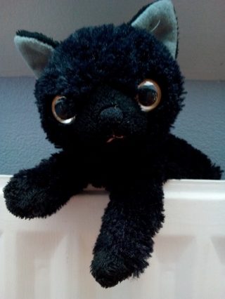 オス猫の名前は一風変わったフランス語で!にゃんこを仏語で言うと?